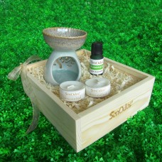 Box EO Set (Rosemary)